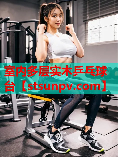 室内多层实木乒乓球台 室内多层实木乒乓球台