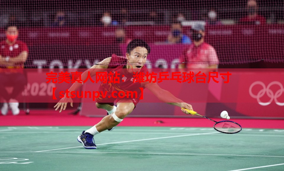 潍坊乒乓球台尺寸 潍坊乒乓球台尺寸