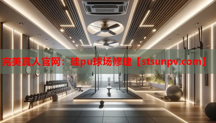 硅pu球场修建 硅pu球场修建