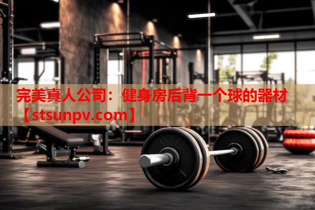 健身房后背一个球的器材 健身房后背一个球的器材
