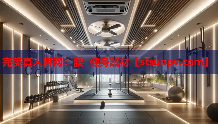 腰 健身器材 腰 健身器材
