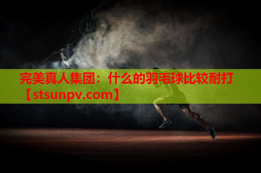 什么的羽毛球比较耐打 什么的羽毛球比较耐打