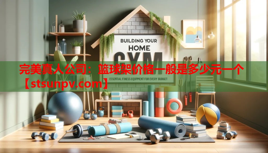篮球架价格一般是多少元一个 篮球架价格一般是多少元一个