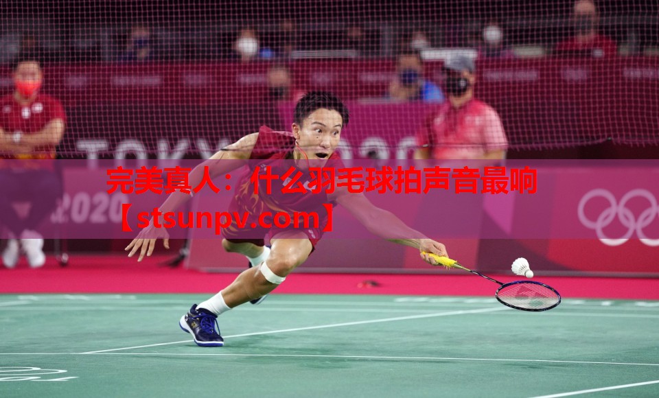什么羽毛球拍声音最响 什么羽毛球拍声音最响