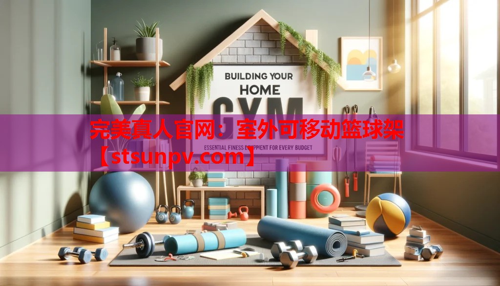 室外可移动篮球架 室外可移动篮球架