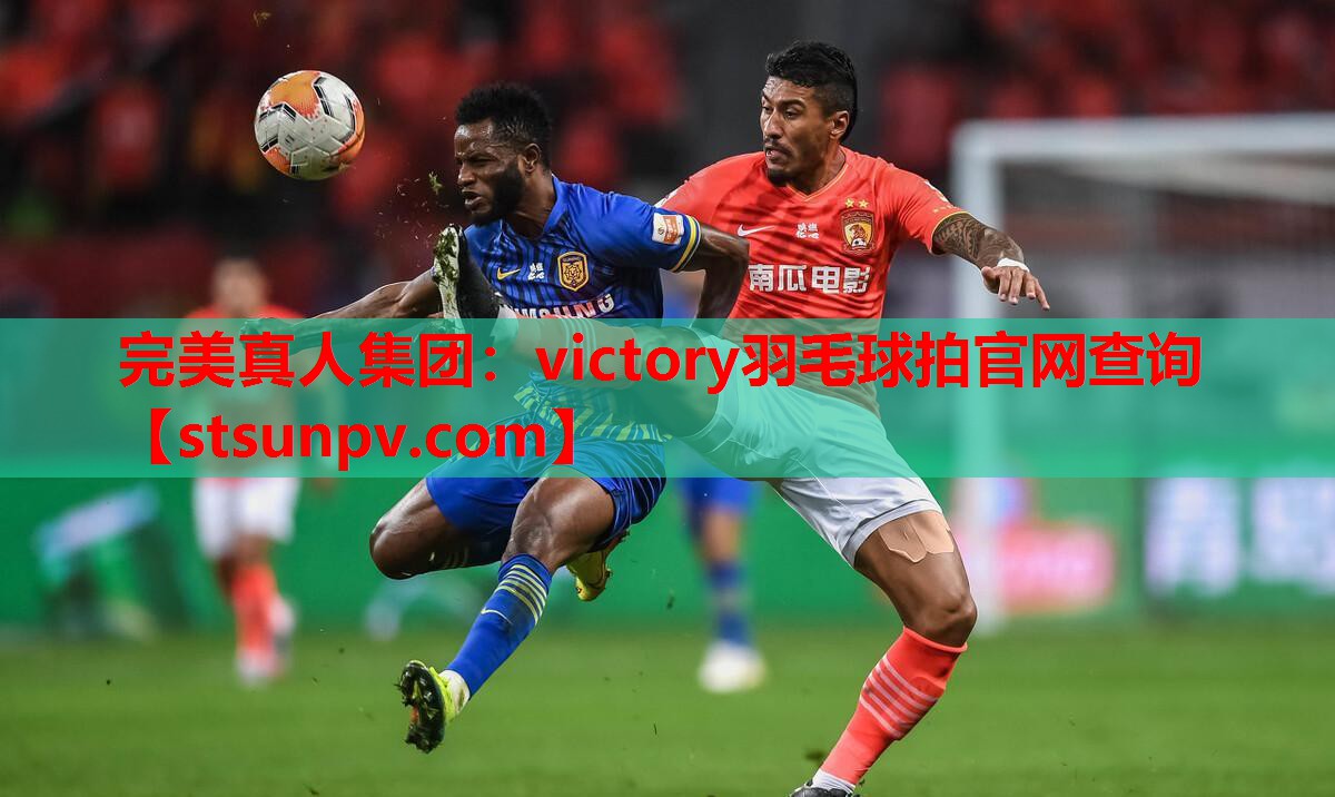 victory羽毛球拍官网查询 victory羽毛球拍官网查询