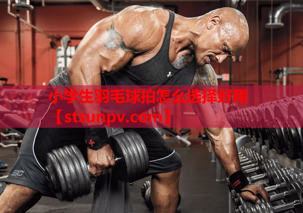 小学生羽毛球拍怎么选择好用 小学生羽毛球拍怎么选择好用