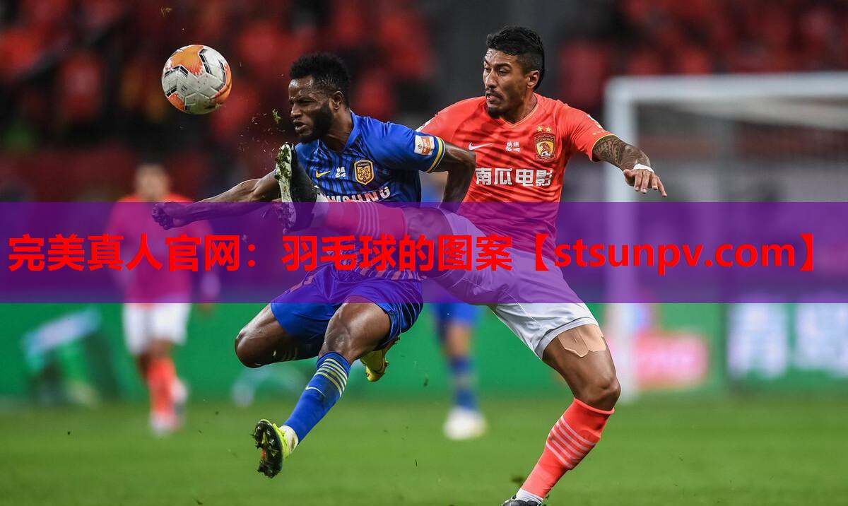 羽毛球的图案 羽毛球的图案
