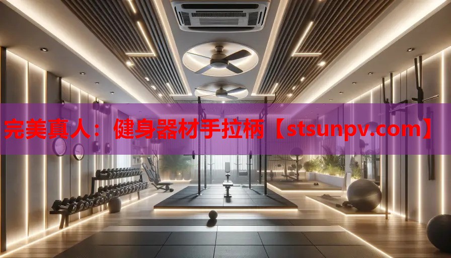 健身器材手拉柄 健身器材手拉柄