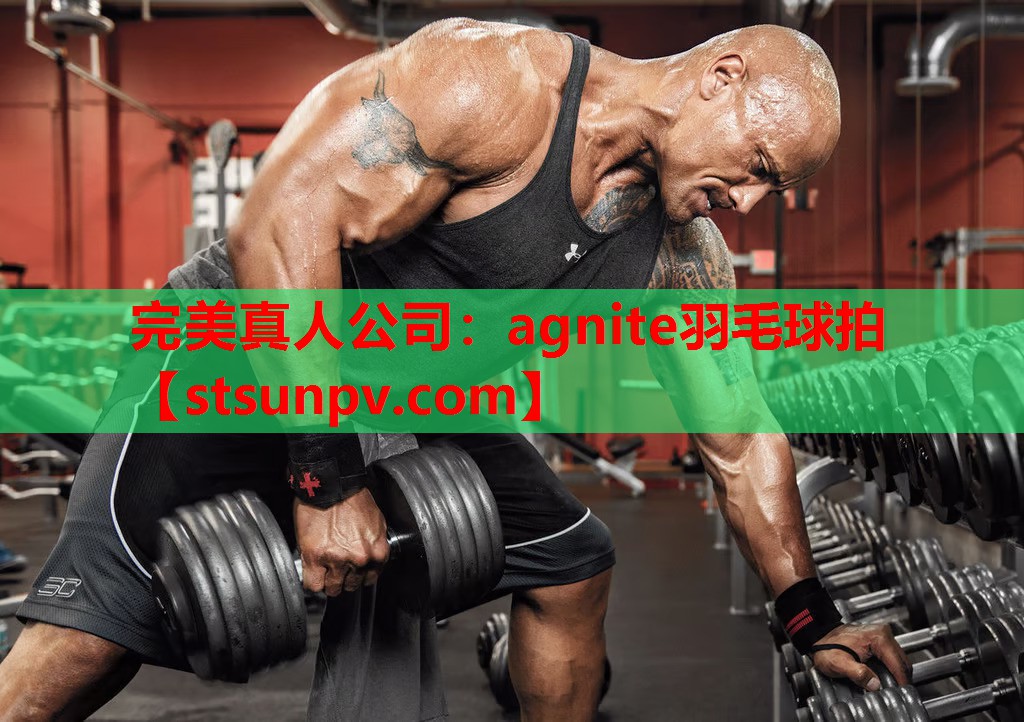 agnite羽毛球拍 agnite羽毛球拍