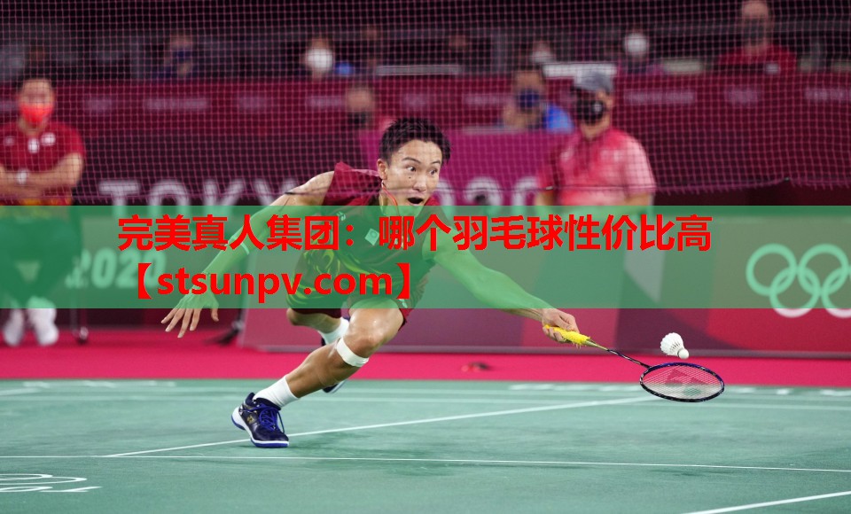 哪个羽毛球性价比高 哪个羽毛球性价比高