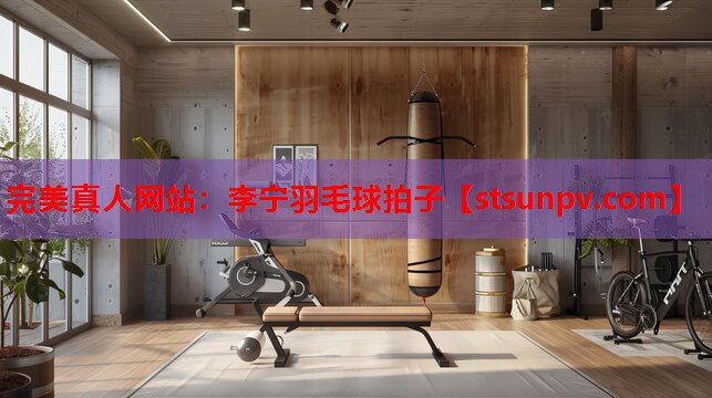 李宁羽毛球拍子 李宁羽毛球拍子
